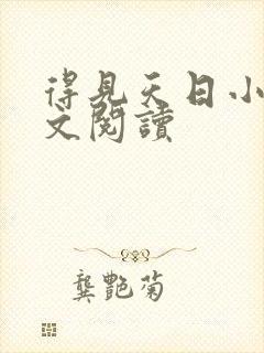 得见天日小说全文阅读