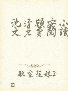 沈清顾安小说全文免费阅读