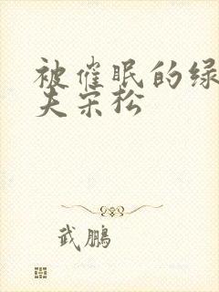 被催眠的绿帽夫夫宋松封面