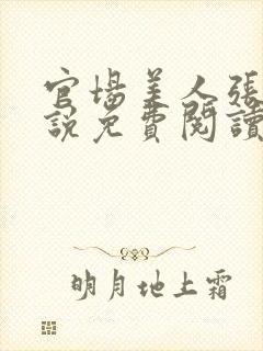 官场美人张梅小说免费阅读最新章节封面