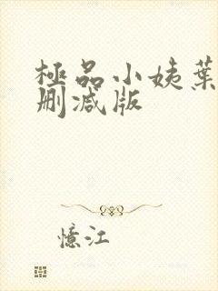 极品小姨叶凡未删减版