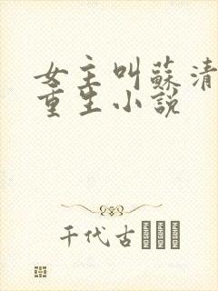 女主叫苏清浅的重生小说