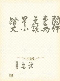 踏星免费阅读全文小说无弹窗