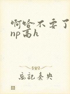 啊哈不要了男男np高h