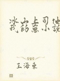 冰山上司他怀了我的崽小说免费阅读