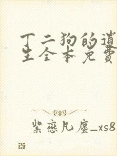 丁二狗的逍遥人生全本免费阅读丁二