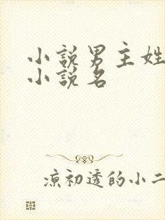 小说男主姓黑的小说名