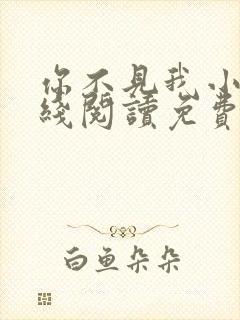 你不见我小说在线阅读免费