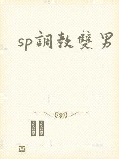 sp调教双男