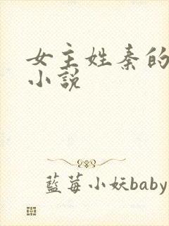 女主姓秦的穿越小说