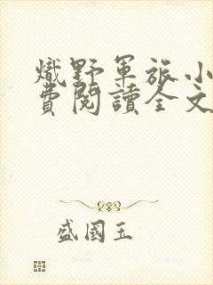 炽野军旅小说免费阅读全文