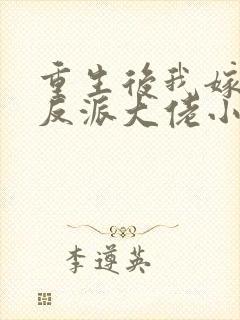 重生后我嫁给了反派大佬小说