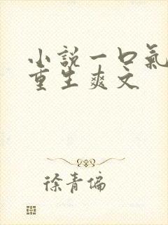 小说一口气看完重生爽文