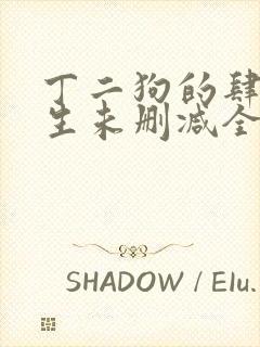 丁二狗的肆意人生未删减全文阅读