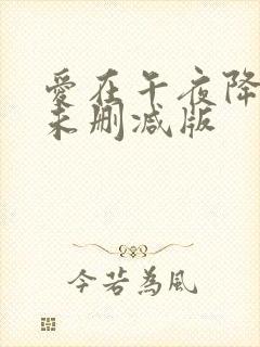 爱在午夜降临前未删减版封面