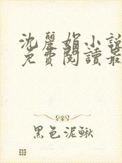 沈丽娟小说全文免费阅读最新章节封面