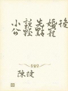 小说先婚后爱老公轻点宠封面