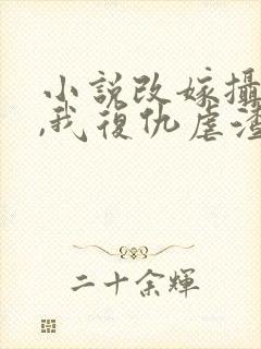 小说改嫁摄政王,我复仇虐渣妹封面