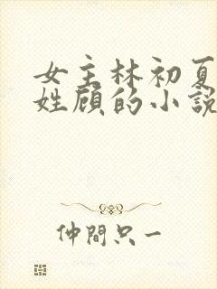 女主林初夏男主姓顾的小说封面