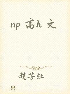 np 高h 文