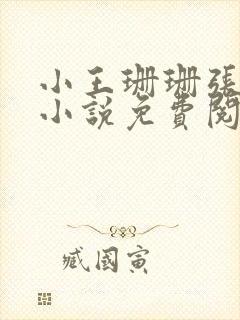 小王珊珊张哥的小说免费阅读