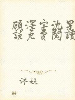 顾泽宇沈星晚小说免费阅读最新章节