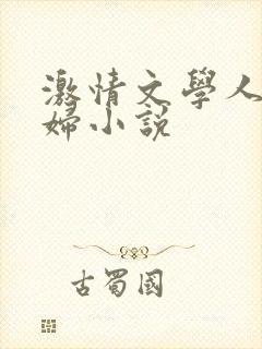 激情文学人妻少妇小说封面