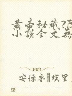 黄帝秘藏?陈启小说全文无删减