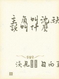 主角叫沈秋的小说叫什么