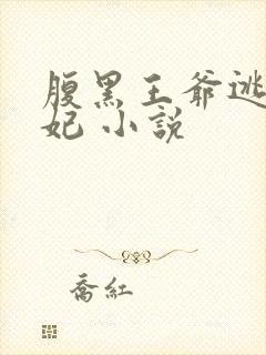 腹黑王爷逃跑王妃 小说