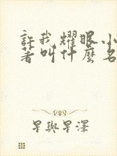 许我耀眼小说原著叫什么名字