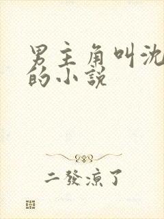 男主角叫沈怀瑾的小说