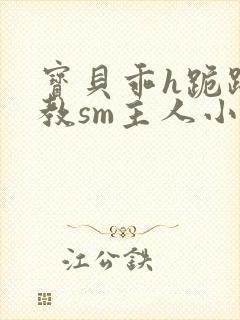 宝贝乖h跪趴调教sm主人小说