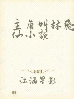 主角叫林飞的修仙小说封面