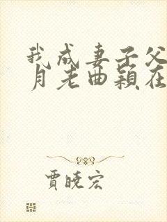 我成妻子父亲的月老曲颖在线阅读