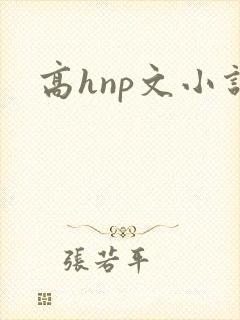高hnp文小说