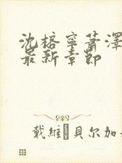 沈榕宁萧泽小说最新章节