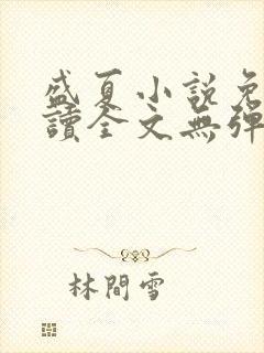 盛夏小说免费阅读全文无弹窗