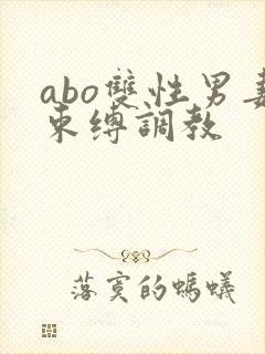 abo双性男妻束缚调教