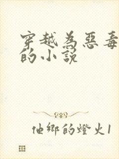 穿越为恶毒女配的小说