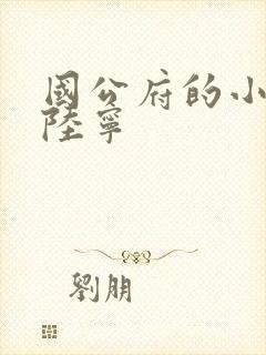 国公府的小丫鬟陆宁