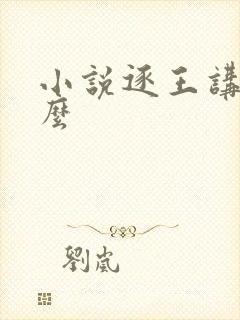 小说逐王讲的什么