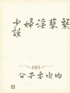 少妇淫孽系列小说