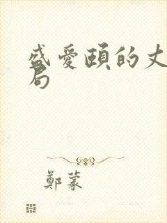 盛爱颐的丈夫结局