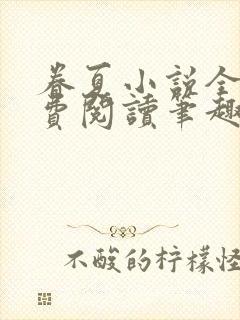 眷夏小说全文免费阅读笔趣阁