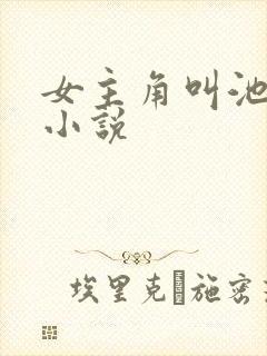 女主角叫池鸢的小说