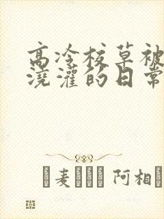 高冷校草被爸爸浇灌的日常小说