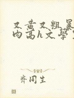 又黄又粗暴的纯肉高h文学生男男