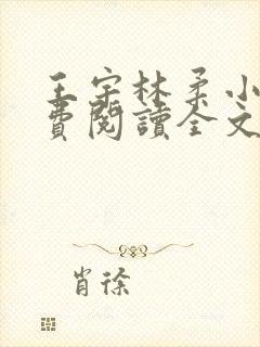 王宇林柔小说免费阅读全文最新章节封面