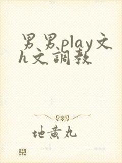 男男play文h文调教封面
